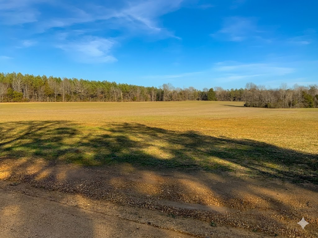 0 Doe Road Saltillo, TN 38370 - Photo 26 of 30 a view of an ocean and beach
