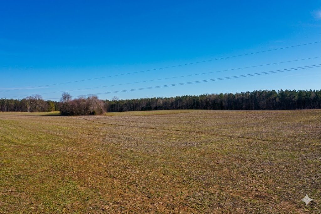 0 Doe Road Saltillo, TN 38370 - Photo 27 of 30 a view of lake