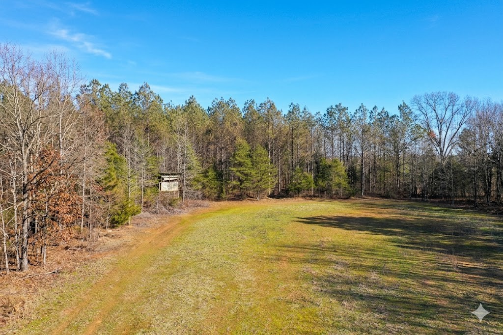 0 Doe Road Saltillo, TN 38370 - Photo 28 of 30 a view of a yard with an trees