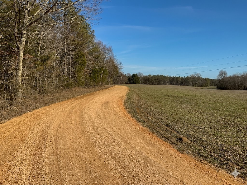 0 Doe Road Saltillo, TN 38370 - Photo 30 of 30 a view of an ocean beach