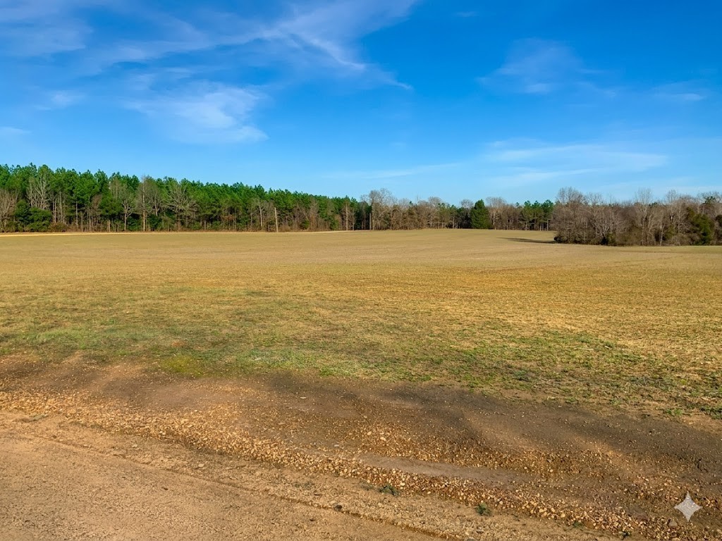 0 Doe Road Saltillo, TN 38370 - Photo 3 of 30 a view of an ocean
