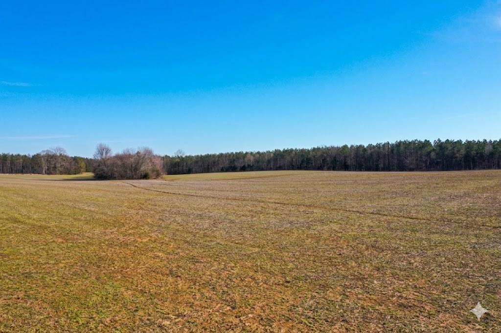 0 Doe Road Saltillo, TN 38370 - Photo 4 of 30 a view of lake