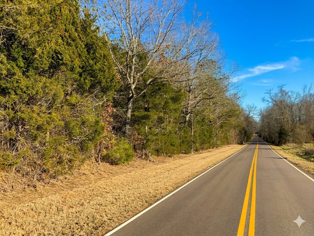 0 Doe Road Saltillo, TN 38370 - Photo 5 of 30 a view of a lake view