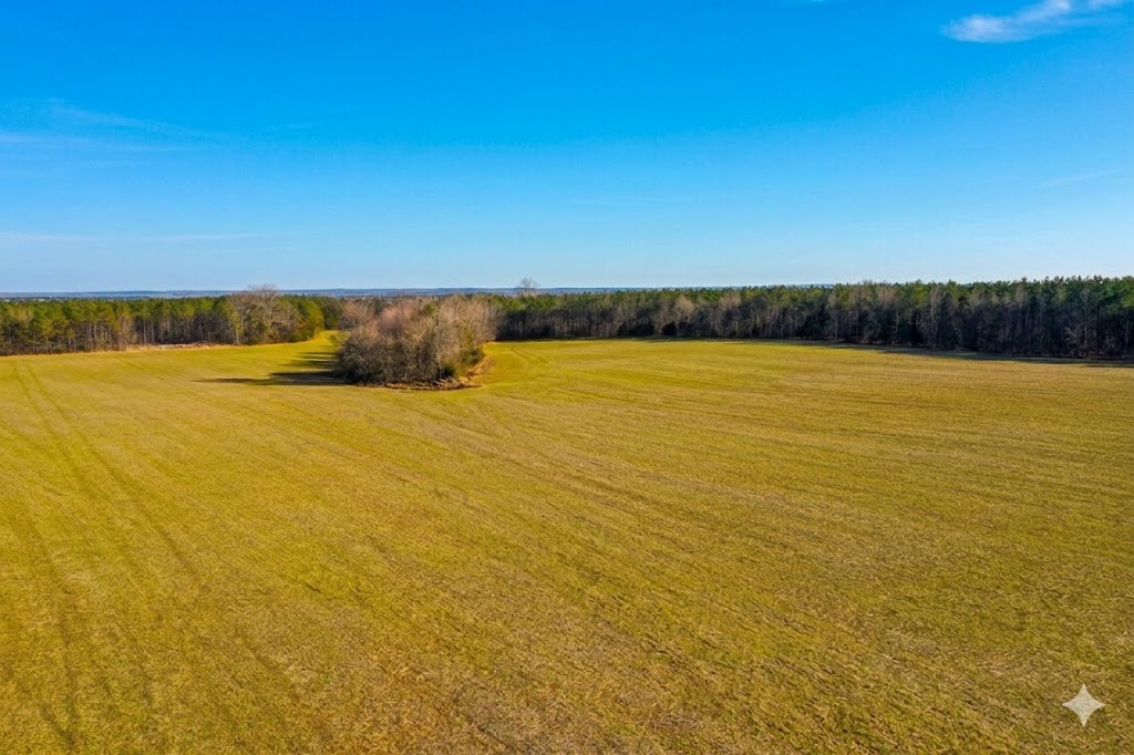 0 Doe Road Saltillo, TN 38370 - Photo 6 of 30 a view of an ocean