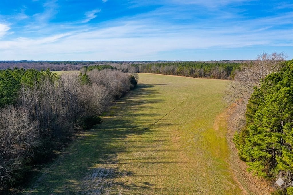 0 Doe Road Saltillo, TN 38370 - Photo 9 of 30 a view of an ocean and beach