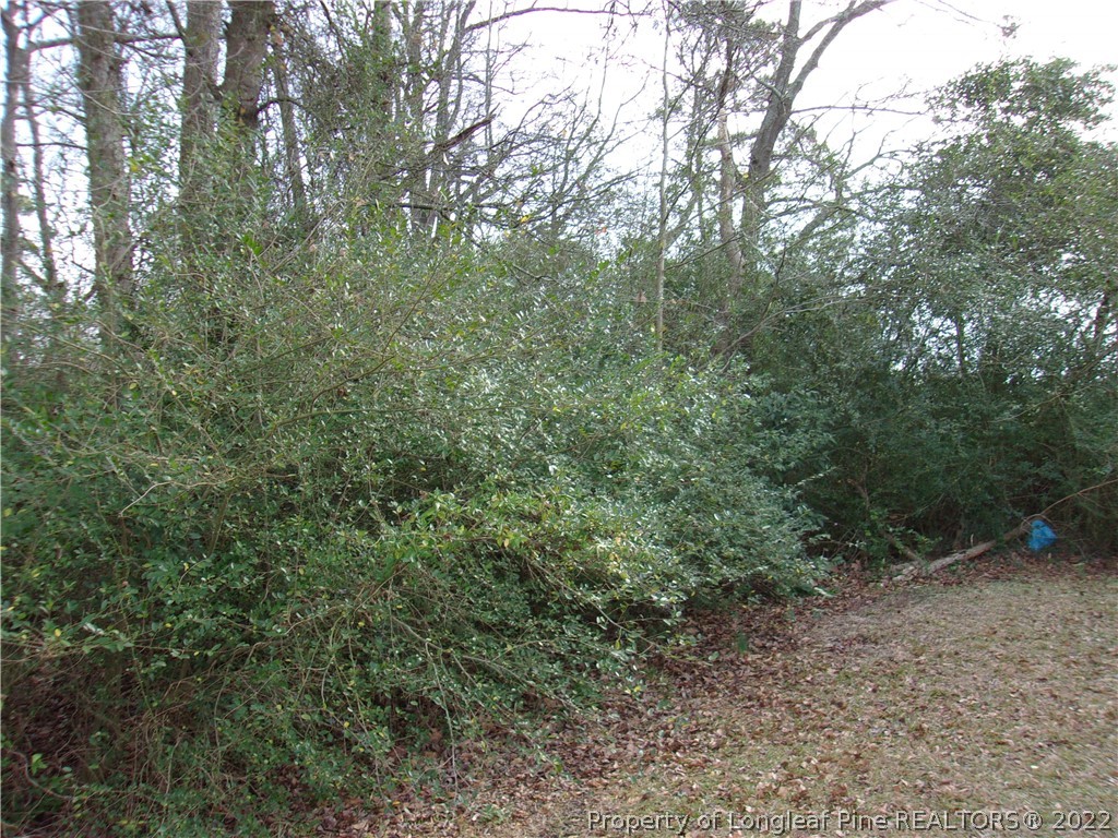 170 Wade-Stedman Road Stedman, NC 28391 - Photo 11 of 12 a view of a forest with trees in the background