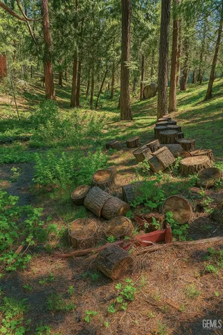 $155,000 | Undisclosed Address, Wofford Heights, CA 93285