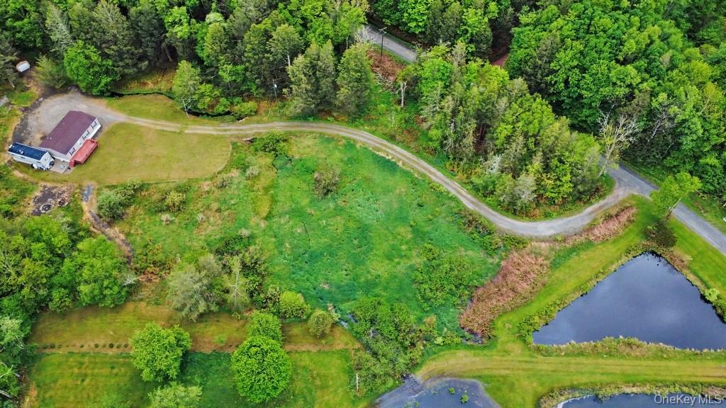 308 William Brown Road Fremont, NY 12741 - Photo 1 of 33 an aerial view of residential house with outdoor space and swimming pool