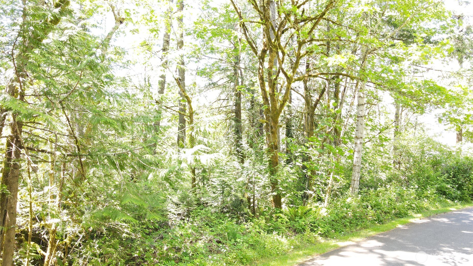 0 East Geist Point Road Shelton, WA 98584 - Photo 18 of 18