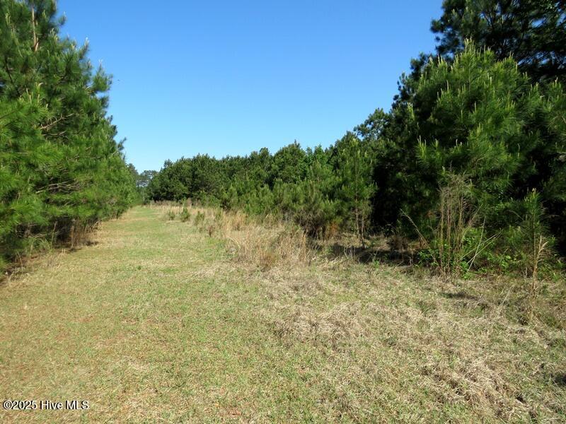 Tbd Williamson Road Fairmont, NC 28340 - Photo 22 of 22 IMG_8143
