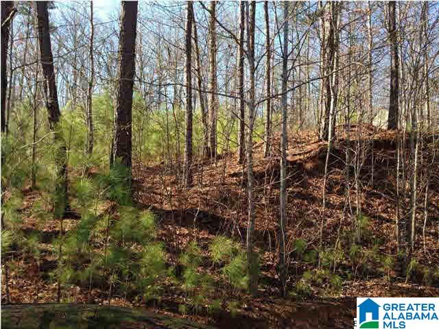 0 Woolfolk Road, Unit 3 ACRES Munford, AL 36268 - Photo 4 of 24