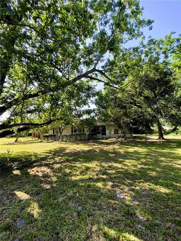 a view of a trees in a yard