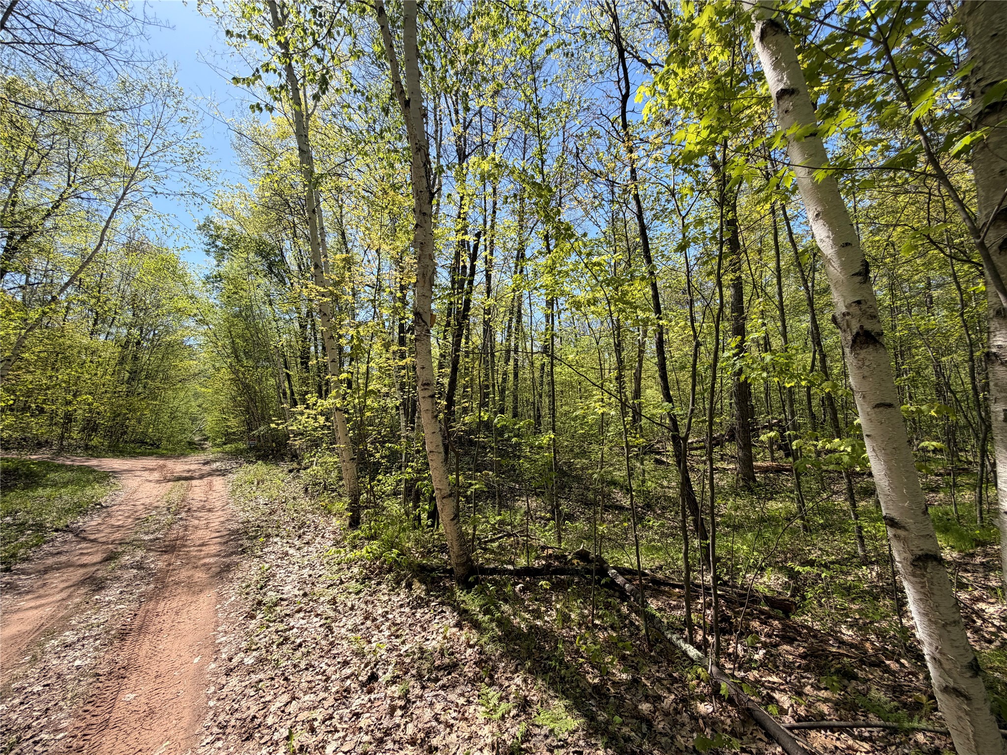 Lot 3 Peterson Road Holyoke, MN 55749 - Photo 3 of 7