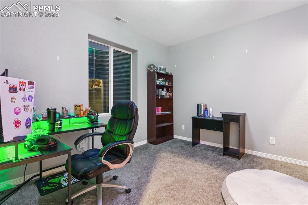 9632 Emerald Vista Drive Peyton, CO 80831 - Photo 33 of 45 a living room with furniture and a potted plant