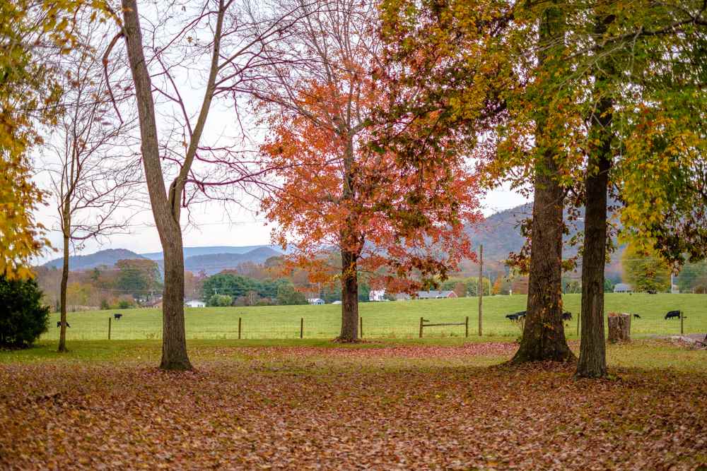 18703 Huckleberry Road Elkton, VA 22827 - Photo 28 of 30 Gallery Image 28