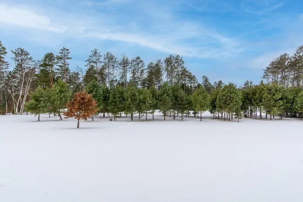 $499,900 | 363 PINE Acrs Trail Northwest, Backus, MN 56435