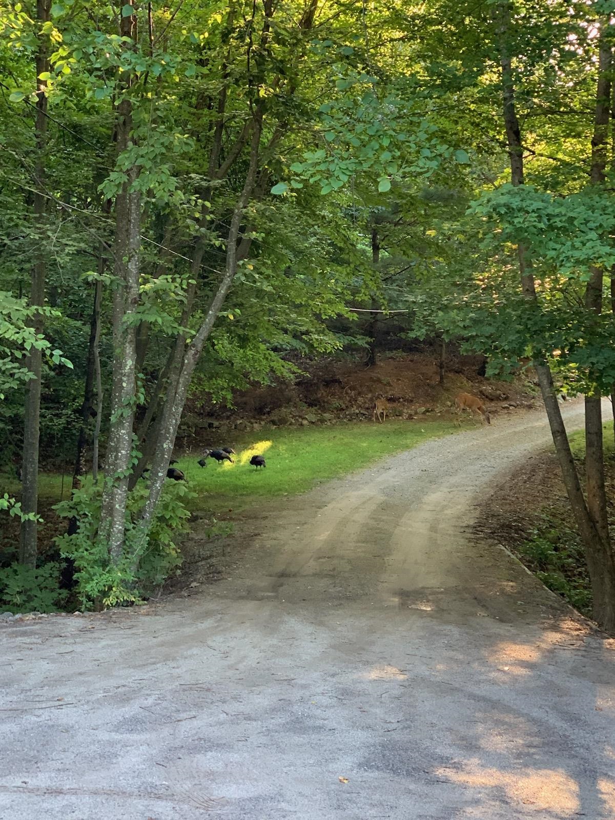 238 Joe English Road New Boston, NH 03070 - Photo 30 of 37 Gallery Image 30
