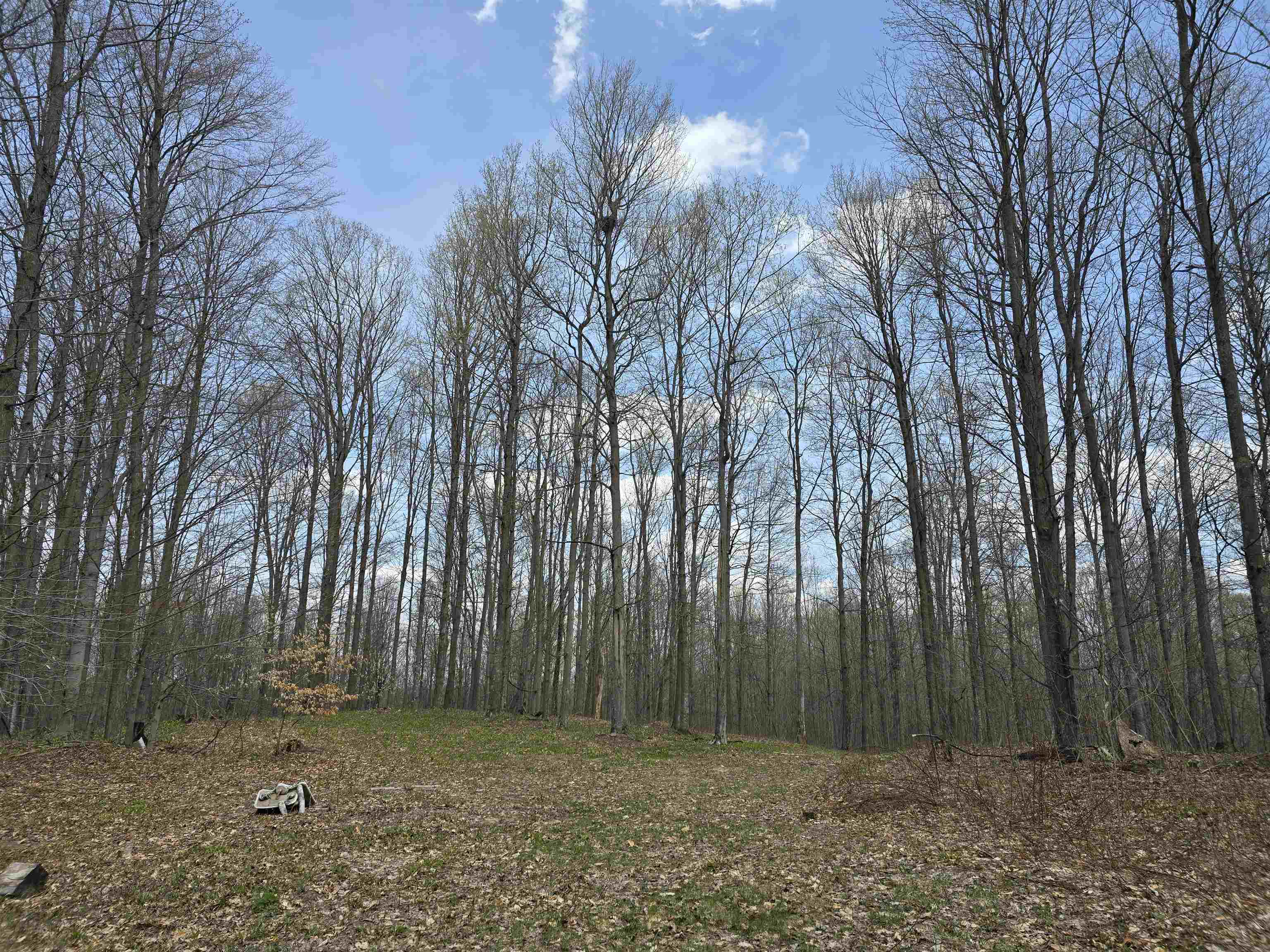 0 West 20 Road Mesick, MI 49668 - Photo 9 of 11