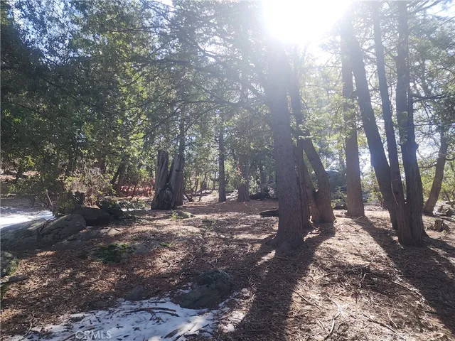 a view of outdoor space with wooden fence and trees