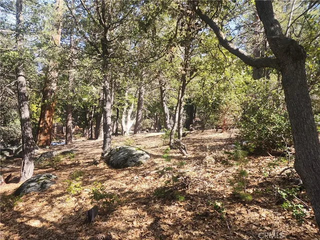a view of a yard with trees