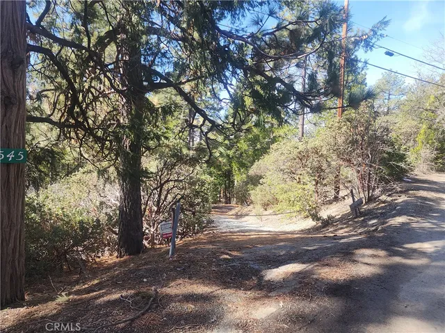 a view of road with tree