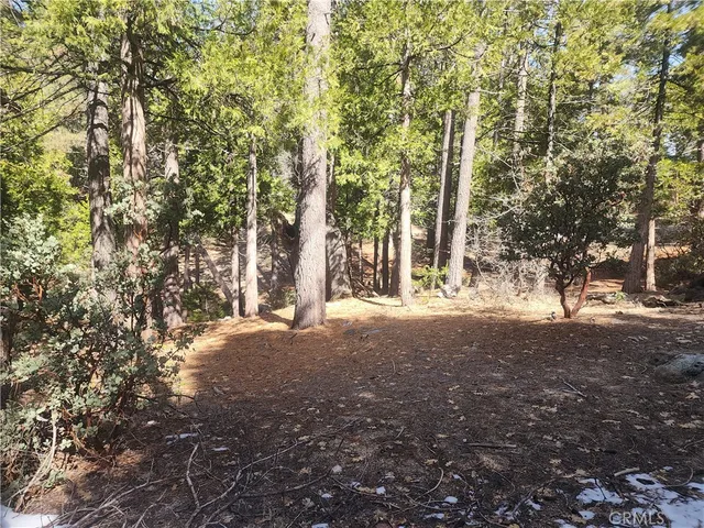 a view of a yard with trees
