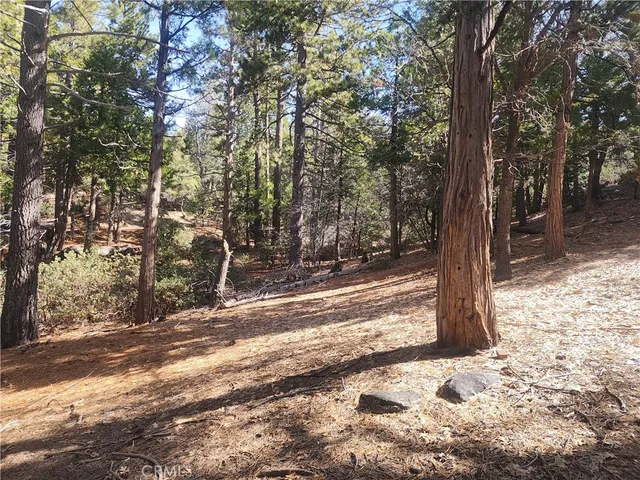 a view of a yard with trees