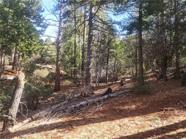 a view of road with trees