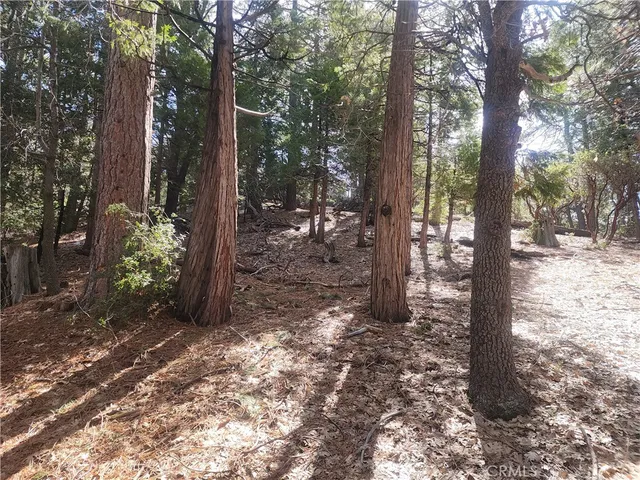 a view of road with trees