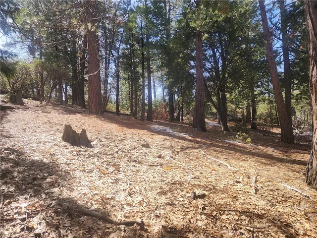 a view of road with trees