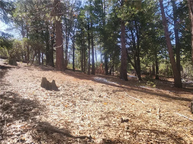 a view of a yard with trees