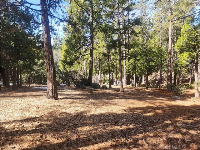 a view of road with trees