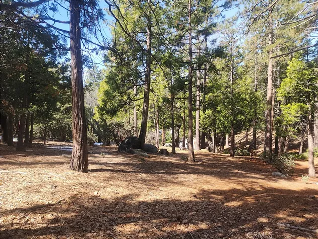 a view of outdoor space with lots of trees