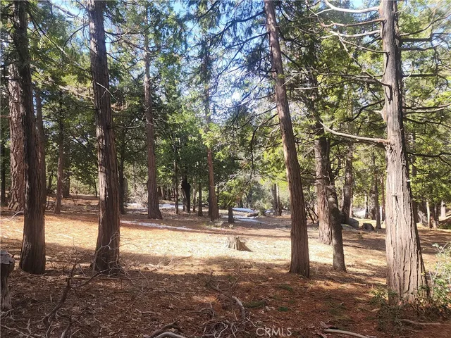 a view of outdoor space with trees