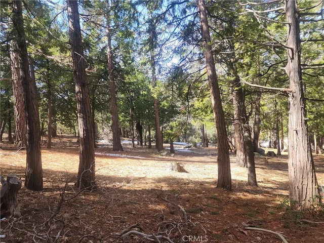 a view of a yard with a tree