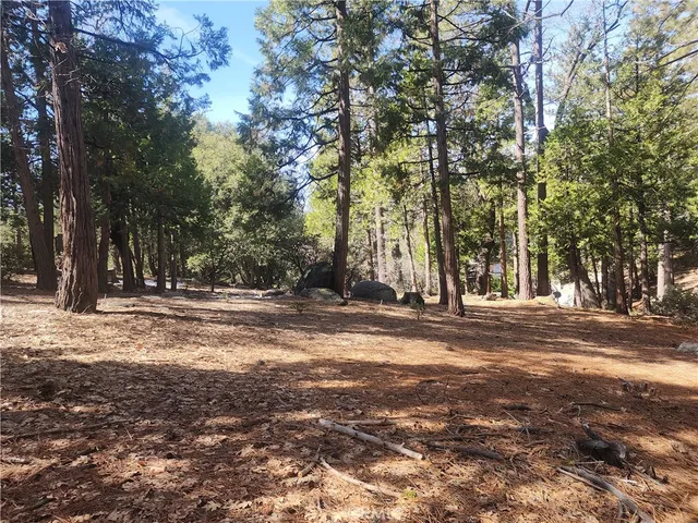 a view of road covered with trees
