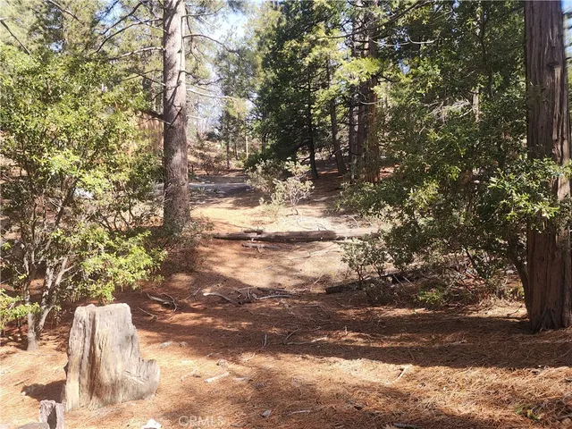 a view of road view with trees