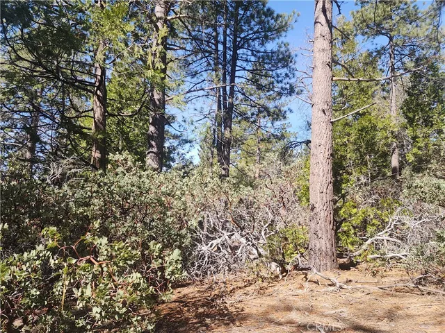 $168,888 | 52547 Pine Cove Road, Idyllwild, CA 92549