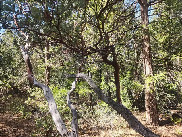 $168,888 | 52547 Pine Cove Road, Idyllwild, CA 92549