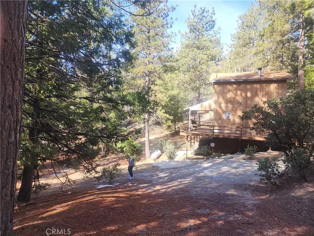 a view of a tree in the middle of a yard