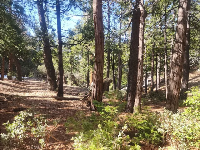 a view of a tree in the middle of a yard