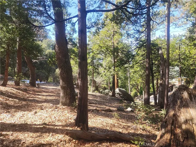 a view of a yard with plants and trees