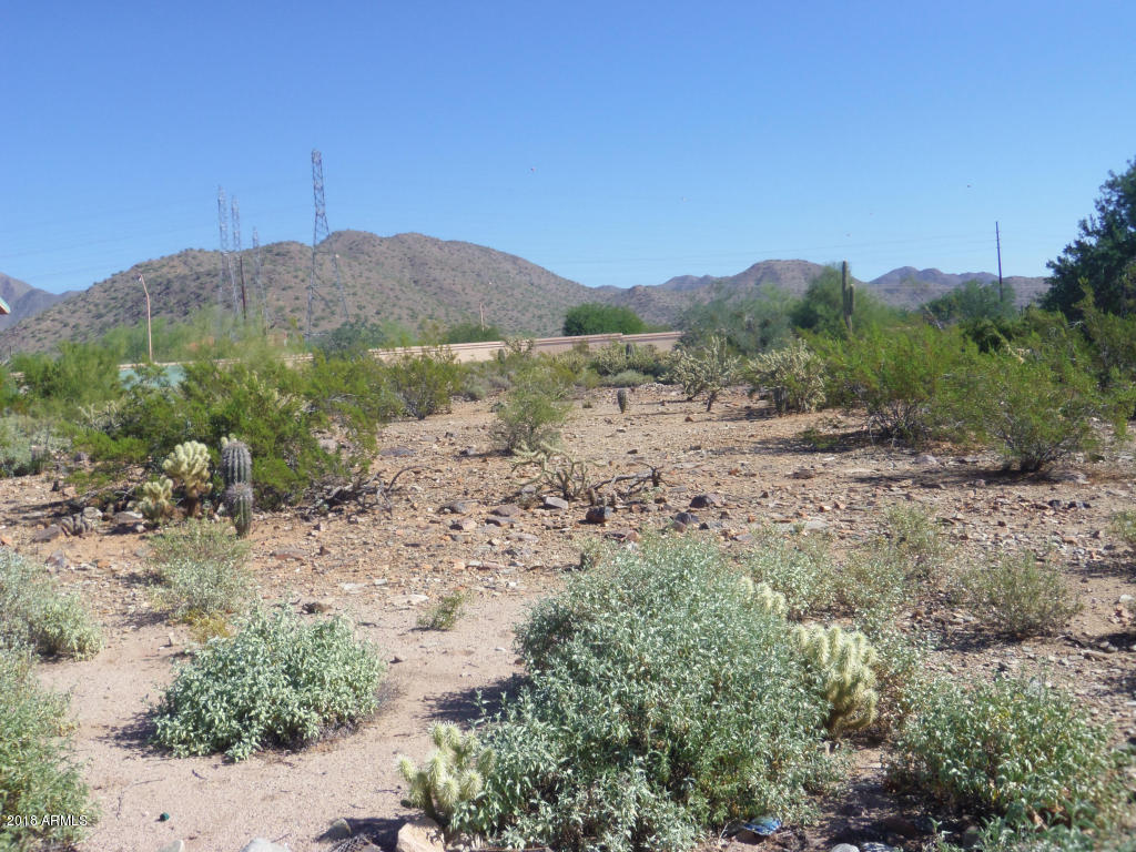 10800 East Cactus Road, Unit 21 Scottsdale, AZ 85259 - Photo 4 of 9 Cactus Gatees Lot 21-3