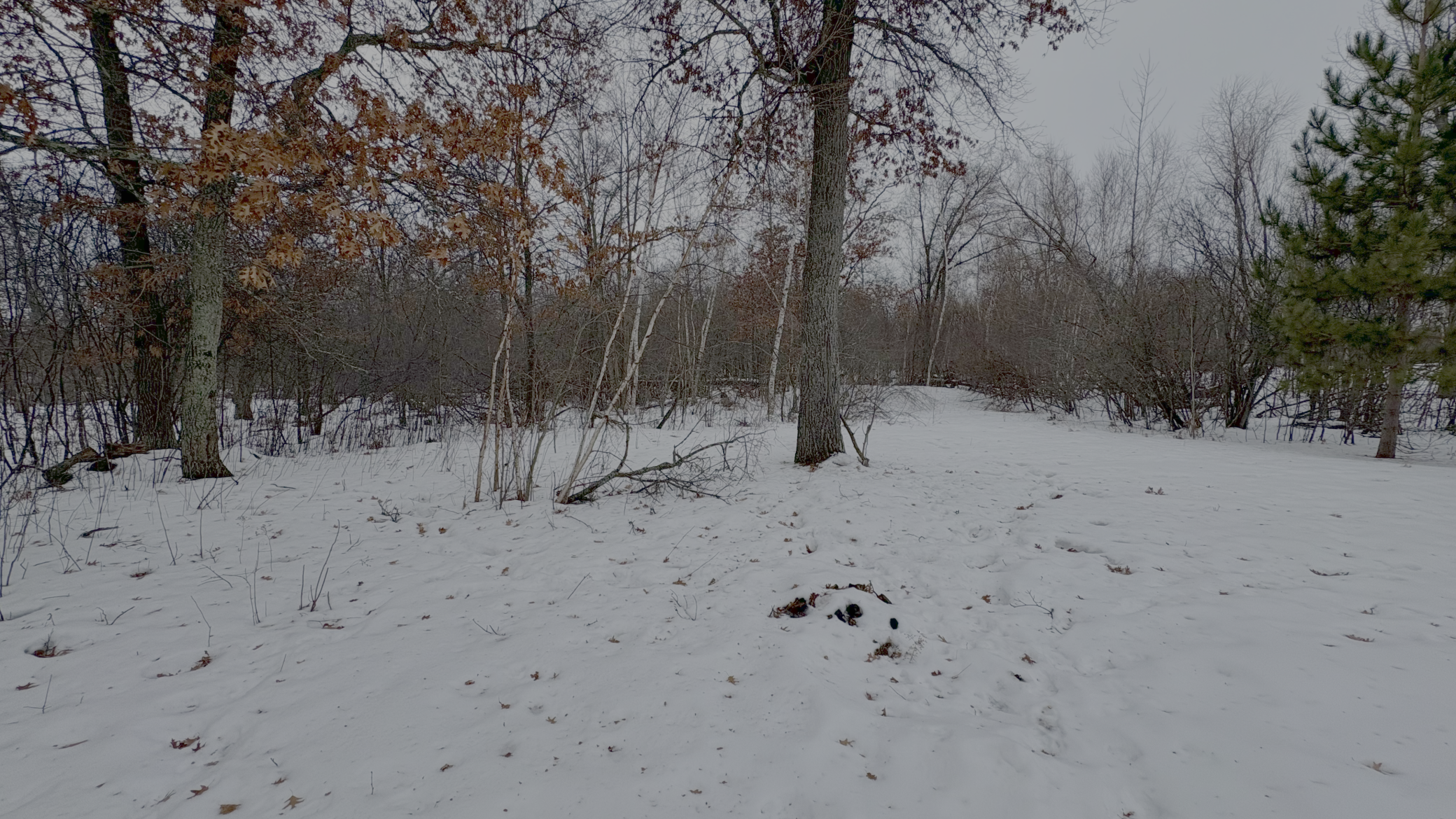 17113 Johnson Road North Brainerd, MN 56401 - Photo 8 of 8