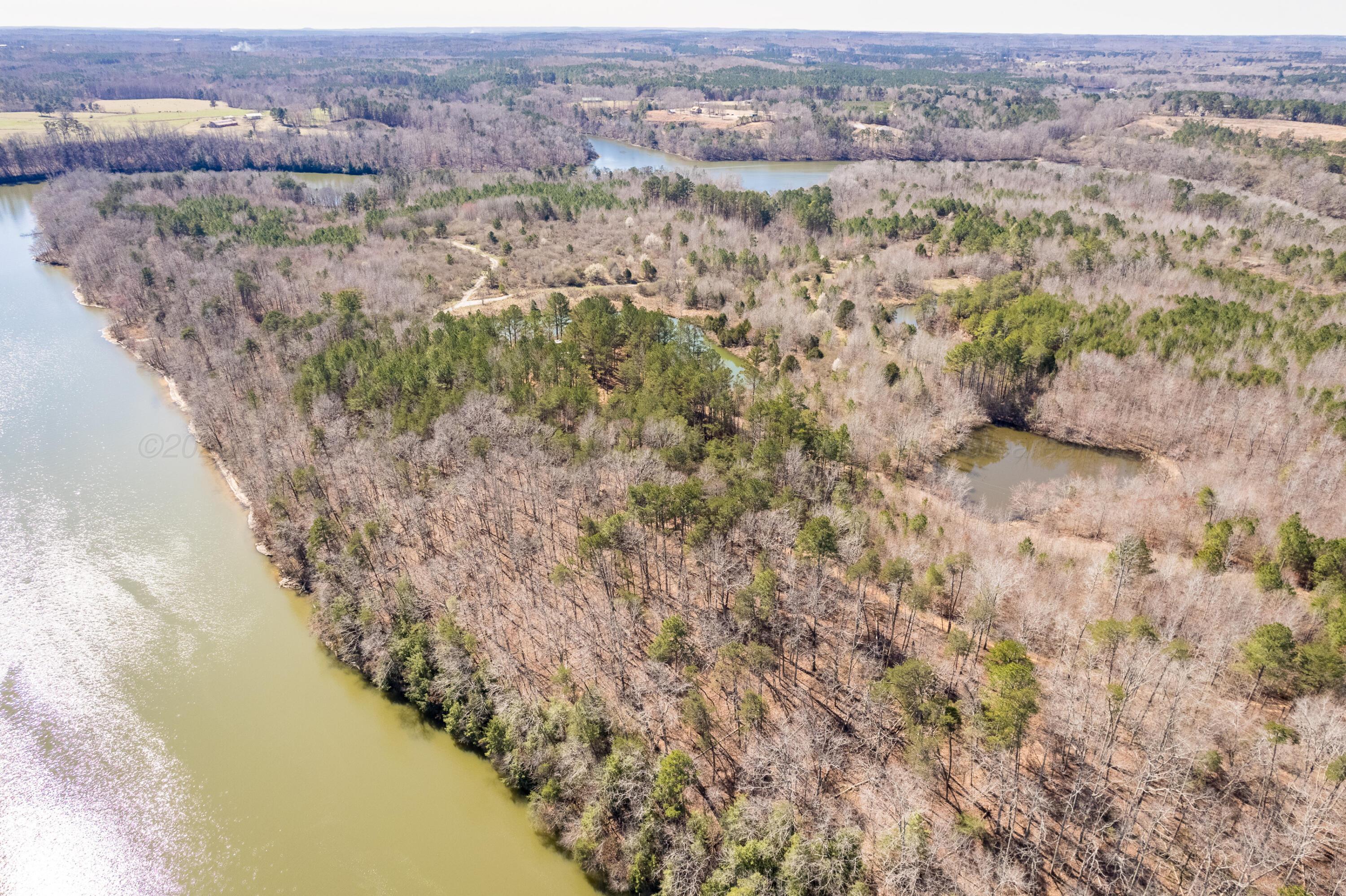 0 Dime Road Phil Campbell, AL 35581 - Photo 7 of 18 Aerial
