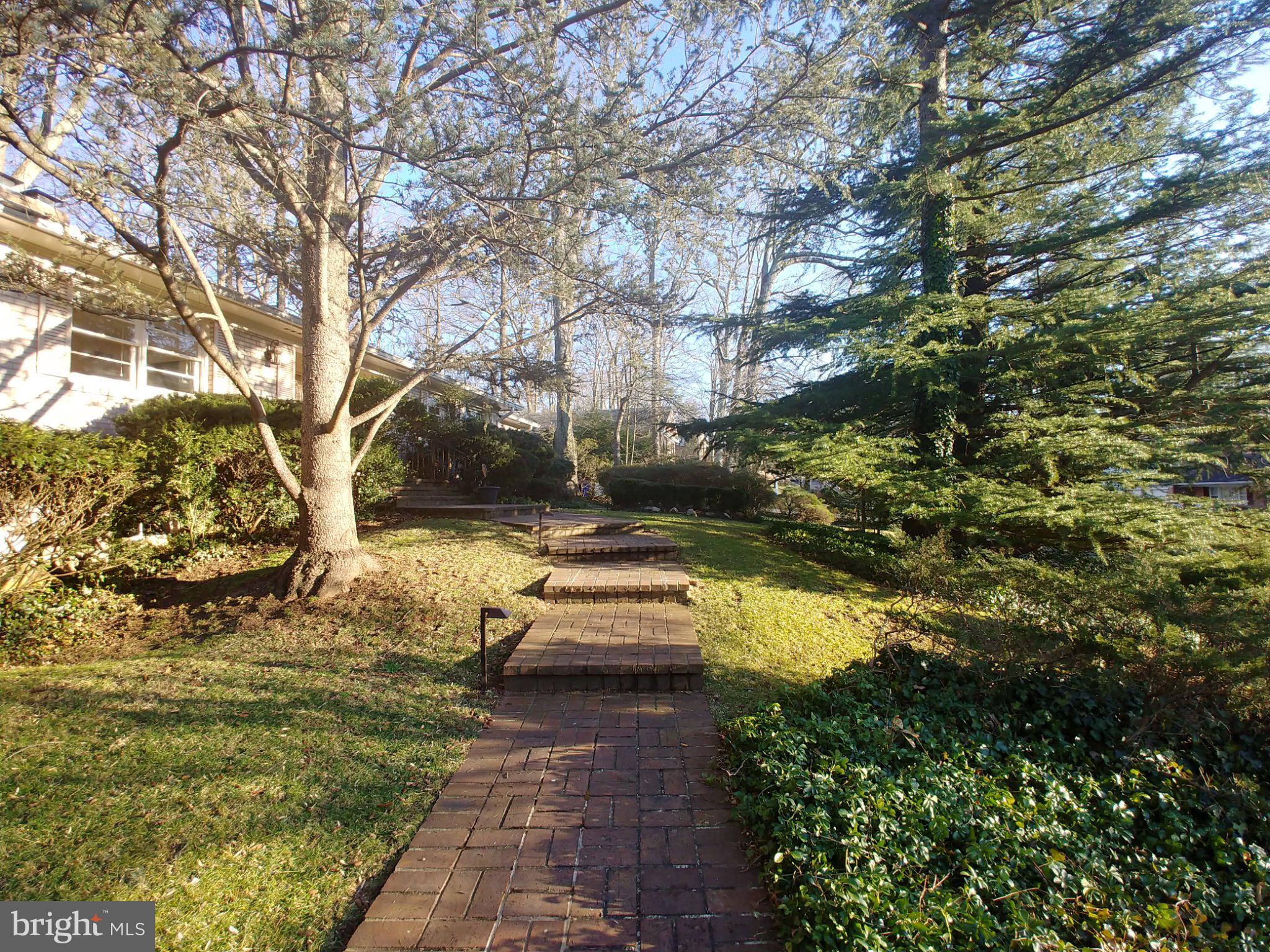 1429 Laburnum Street McLean, VA 22101 - Photo 3 of 26 Charming pathway through lush greenery.