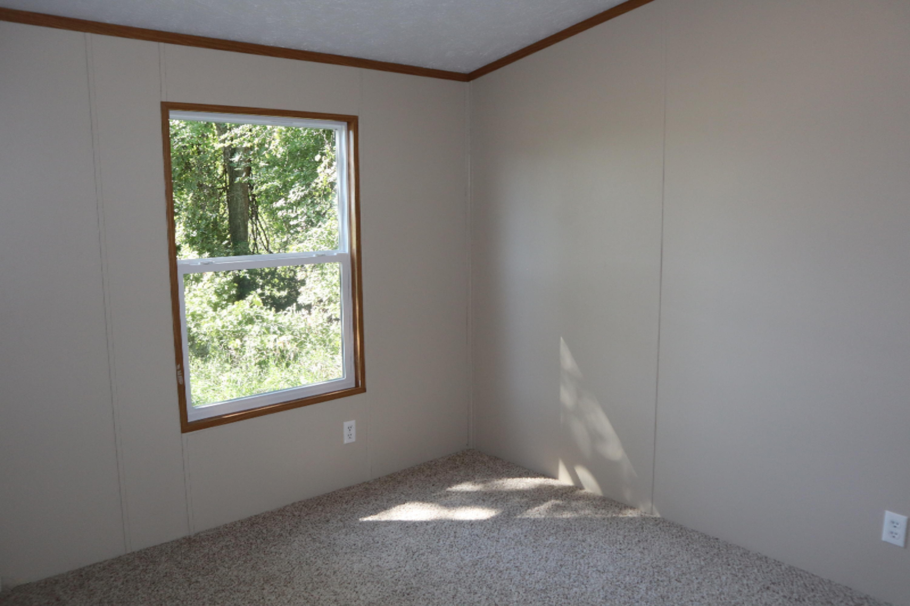 10050 South Maple Island Road Holton, MI 49425 - Photo 10 of 12 IMG_2696