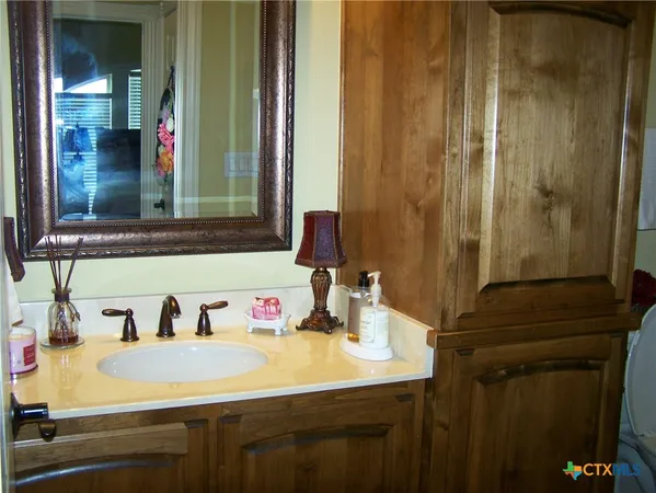 a bathroom with a sink and a mirror