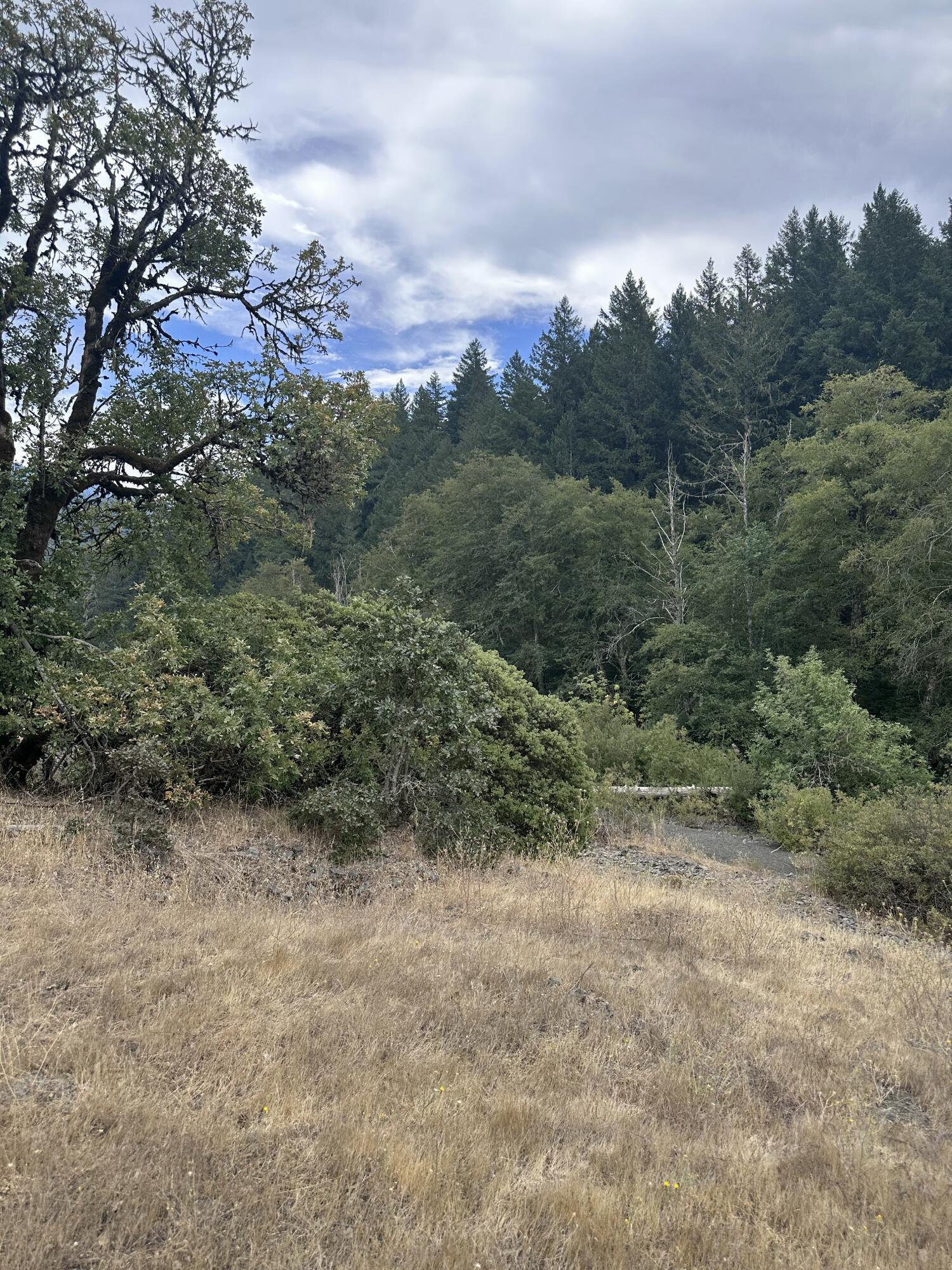 0 River Road Miranda, CA 95553 - Photo 30 of 31
