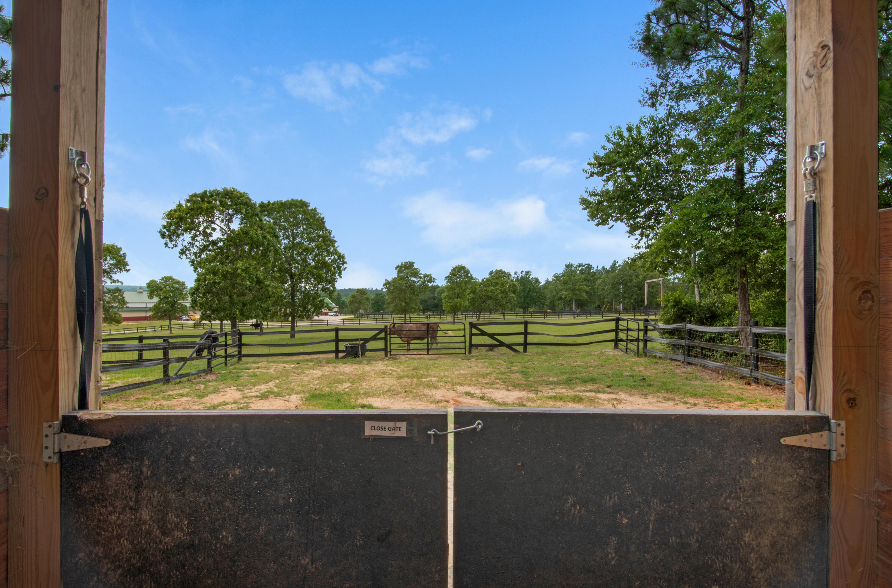235 Moore Road Aiken, SC 29805 - Photo 32 of 46